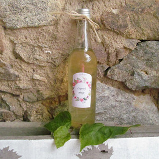 Lipový sirup 0,2l