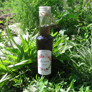 Jitrocelový sirup 0,2l