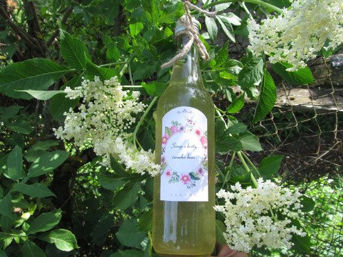 Bezový sirup 0,5l