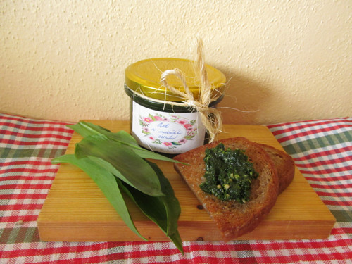 Pesto z medvědího česneku